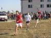 img_5415_t1.jpg