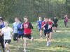 img_5419_t1.jpg