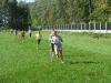 2010_biegi 001.jpg