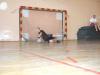dscf5328_t1.jpg
