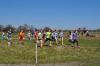 dsc_0392_t1.jpg
