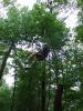 dscf5574_t1.jpg
