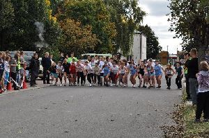 dsc_0482.jpg