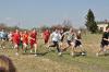 dsc_0545_t1.jpg
