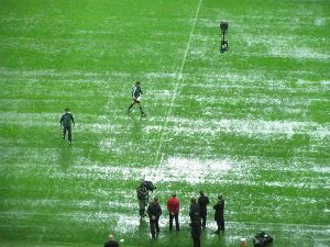 img_8674.jpg
