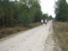 dscf9980_t1.jpg