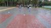 dsc08879_t1.jpg