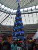 dscf1447_t1.jpg