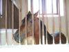 dscf2352_t1.jpg