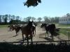 dscf2364_t1.jpg