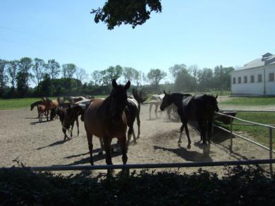 dscf2364.jpg