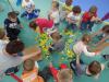 dsc04146_t1.jpg