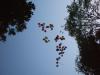 dscf2785_t1.jpg