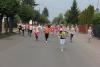 img_9949_t1.jpg