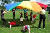 dsc_0076_t1.jpg