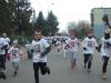 dscf7157_t1.jpg