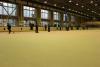 img_8290_t1.jpg
