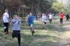 img_8446_t1.jpg