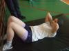 dscf8159_t1.jpg