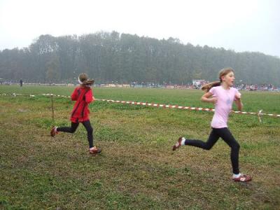 dscf4753.jpg